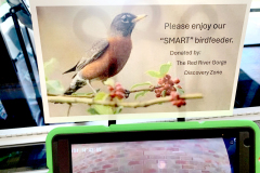 Birds-2-web