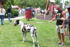 RedRiverGorgeBigFootFest5-30-26-23