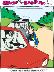 grin bear c20251222 web