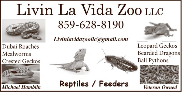 livin la vida zoo 1 6 26