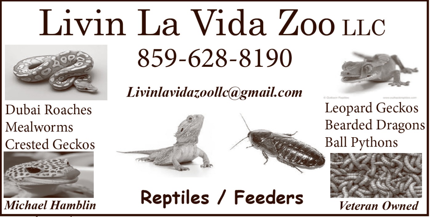 livin la vida zoo 1 6 26