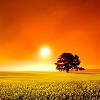 michael reed turner wfh 1