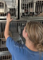 griffyn shelter donation april 2026 (3)