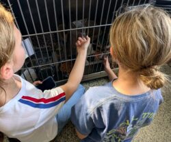 griffyn shelter donation april 2026 (4)