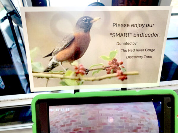 birds 2 web