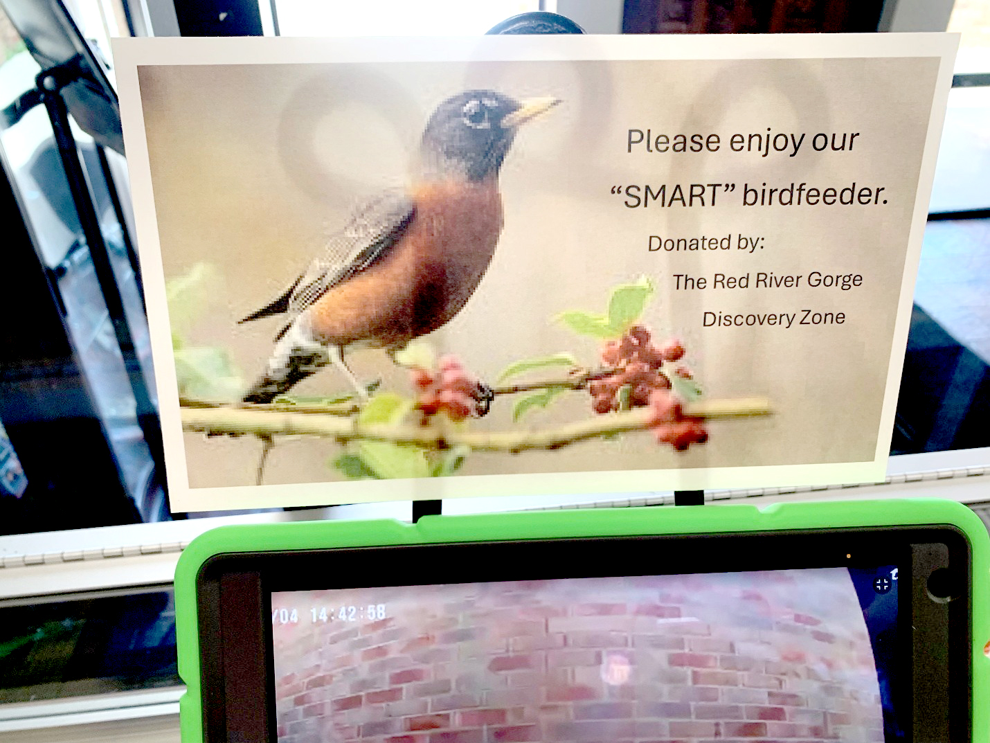 birds 2 web