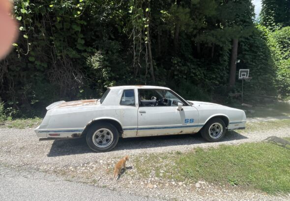 davids car for sale (1)