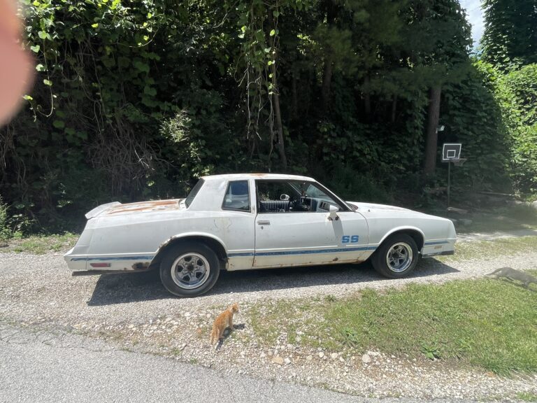 davids car for sale (1)