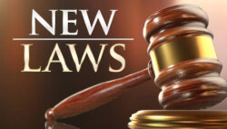 new laws 2 web