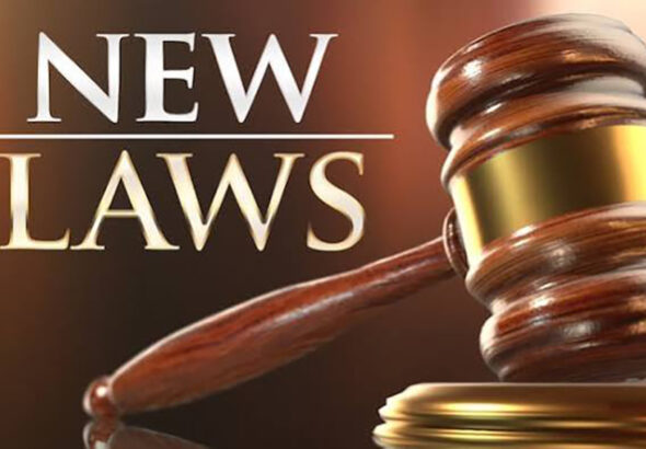 new laws 2 web