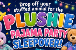 plushie sleepover party library elizabeth hughes 8 17 24 sm