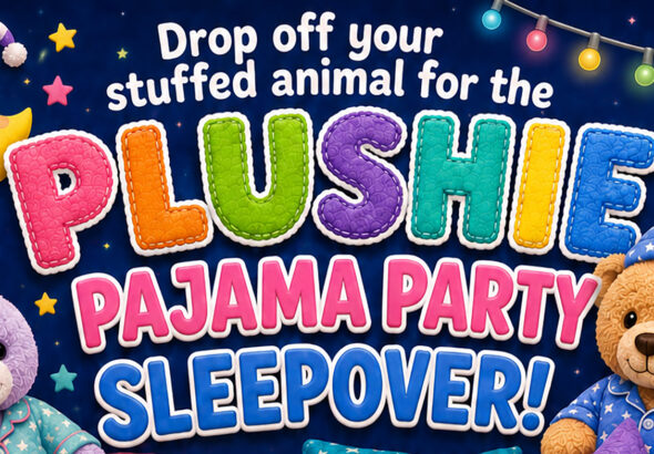 plushie sleepover party library elizabeth hughes 8 17 24 sm
