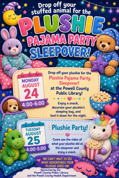 plushie sleepover party library elizabeth hughes 8 17 24 web