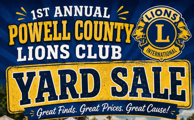 lions club yard sale web