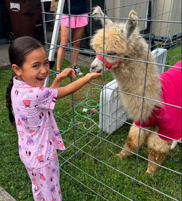 llama 1a