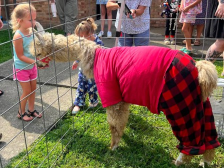 llama 1c