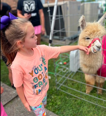 llama 1k