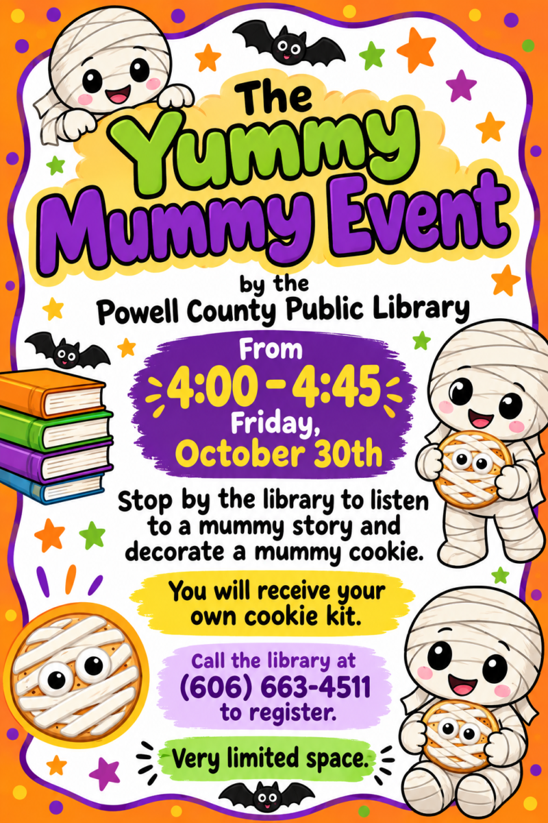 mummy flyer