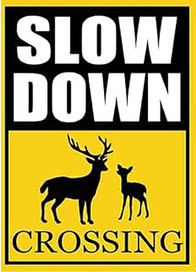 deer crossing sign sm